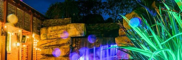 dianispinces's profile banner image
