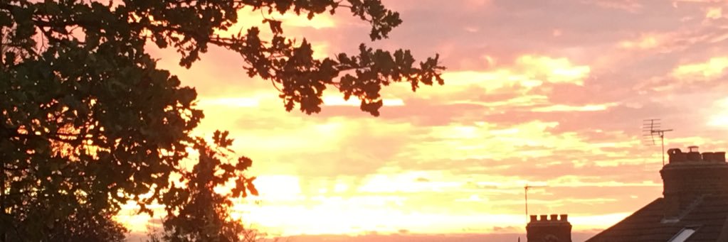 Stephanie Zoundi banner