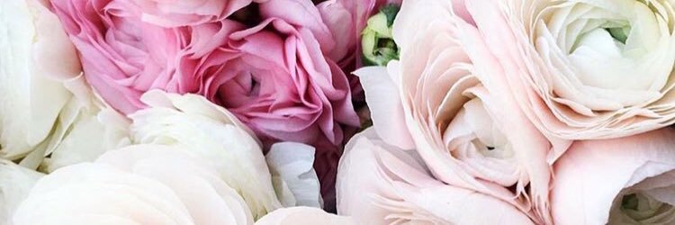 AnnaCald's profile banner image