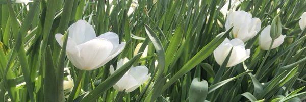 destanyfullertv Profile Banner