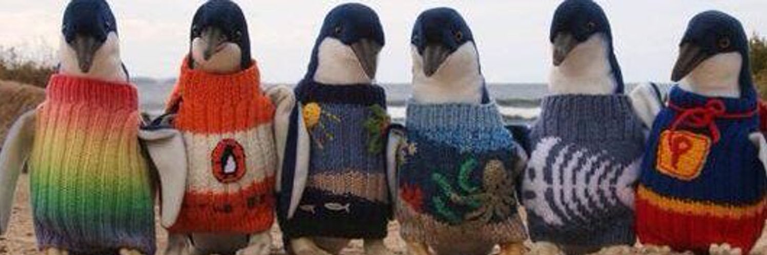 Penguin2026™️ banner