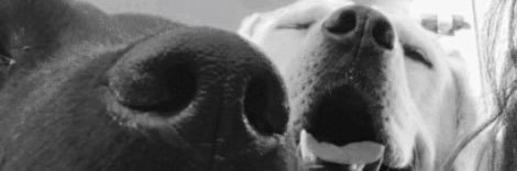 TaydealeT's profile banner image