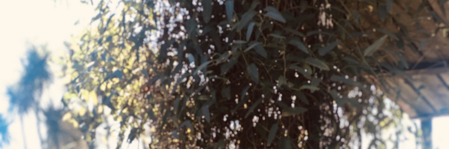 michuu10's profile banner image