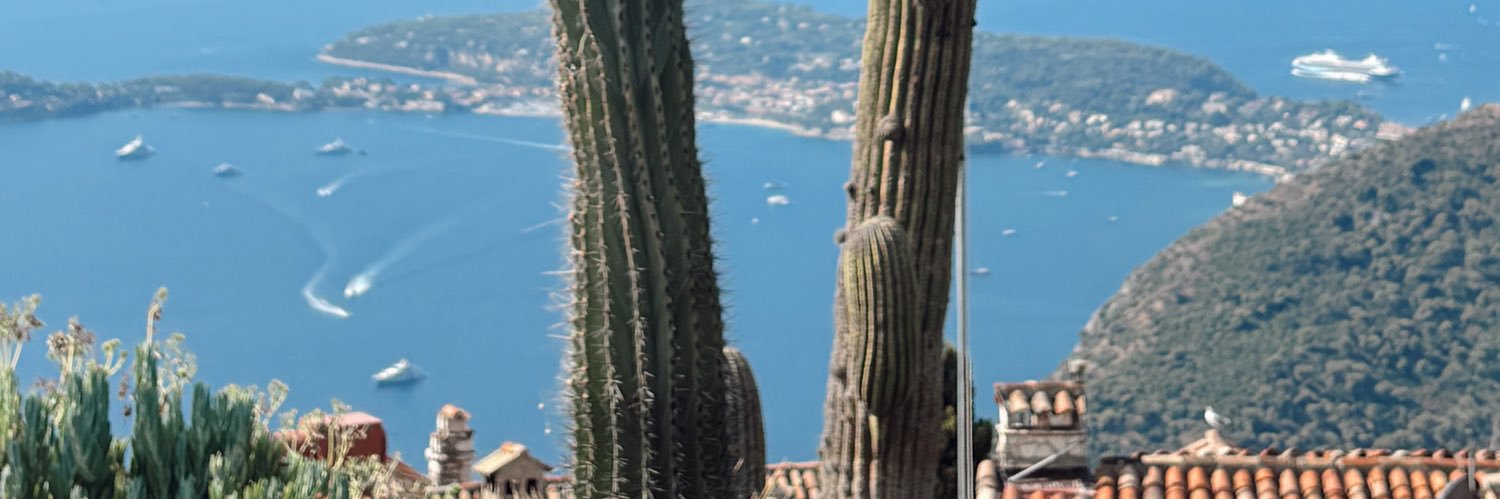 pauhuli's profile banner image