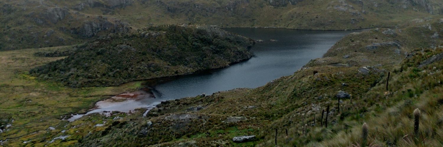 Maspons Isa Fred banner