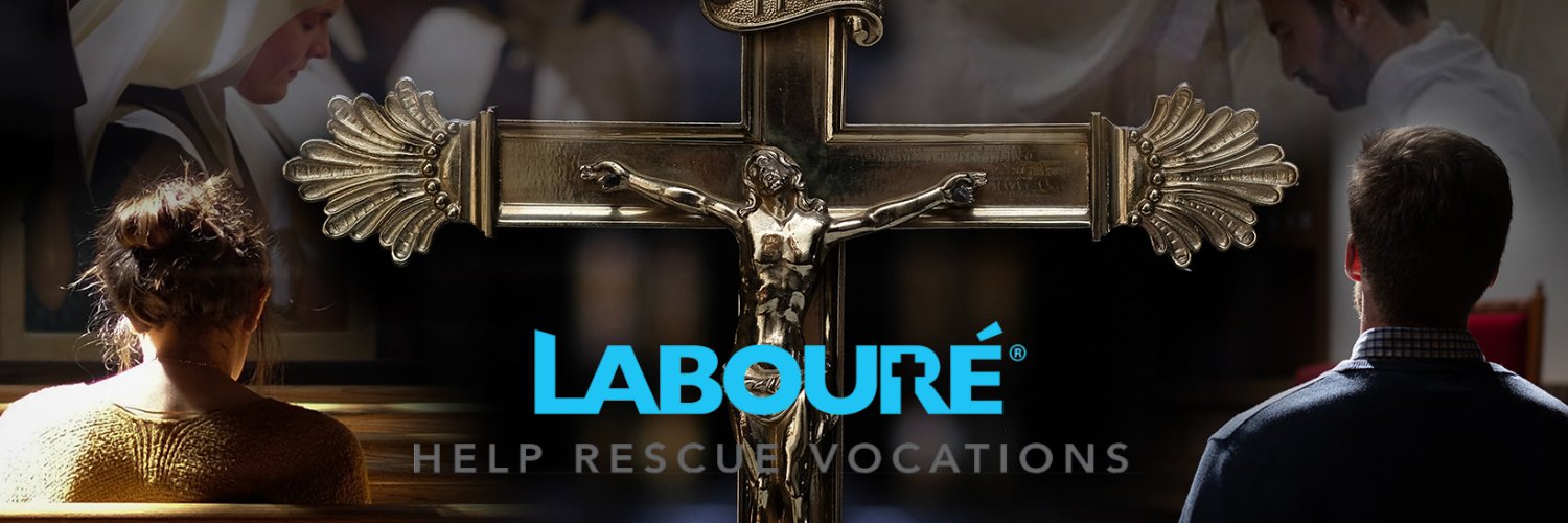 LaboureSociety's profile banner image