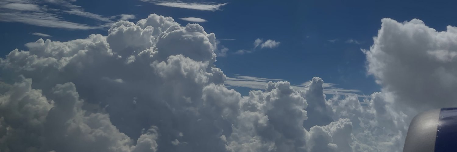 I TOP GUYS banner