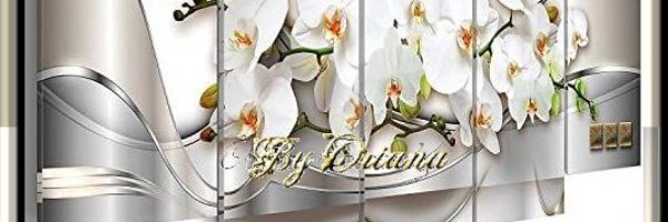 Yaky549 Profile Banner