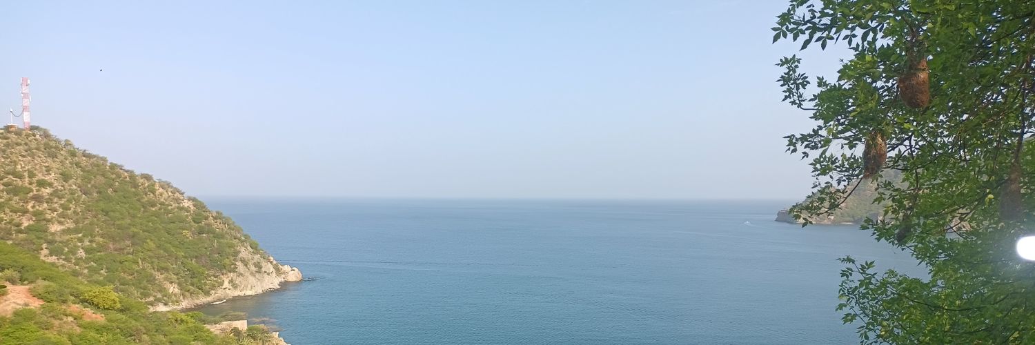 lini123's profile banner image