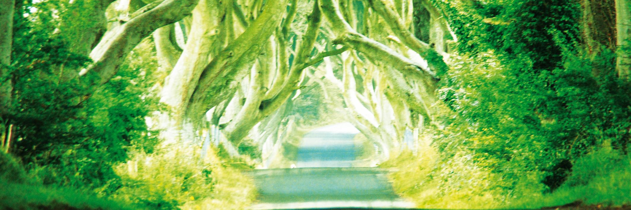 Iñigo Iruarrizaga banner