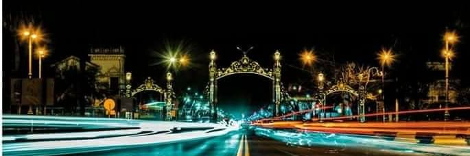 Elvira Delvis banner