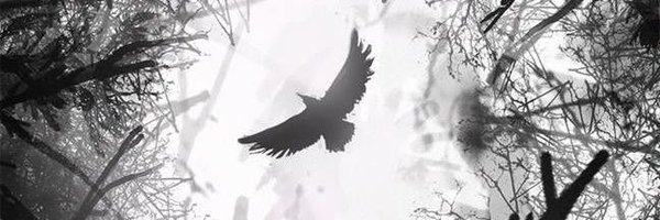 Echo Profile Banner