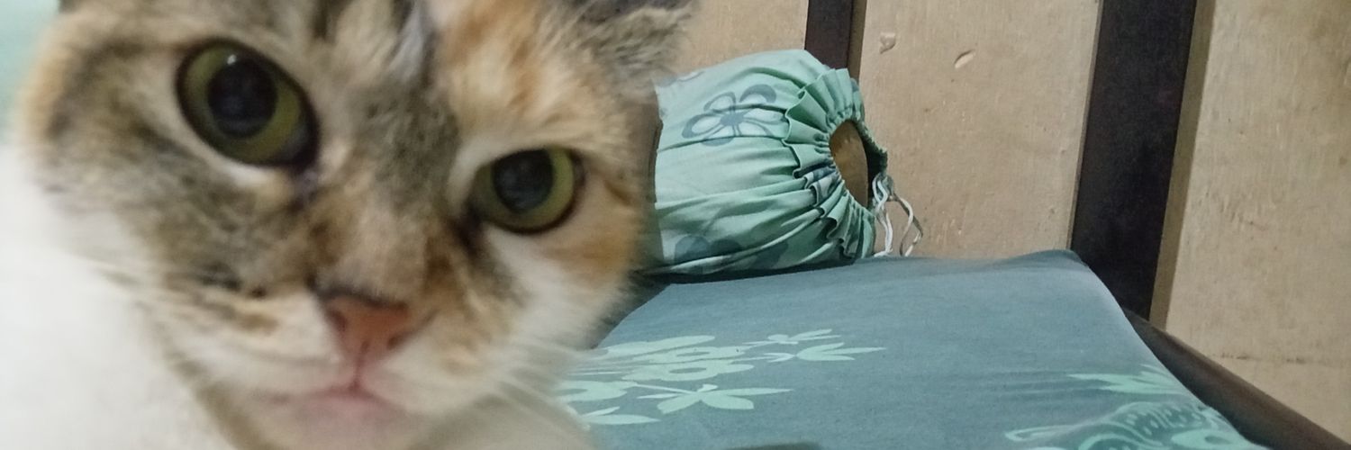 Nthingspchless. banner