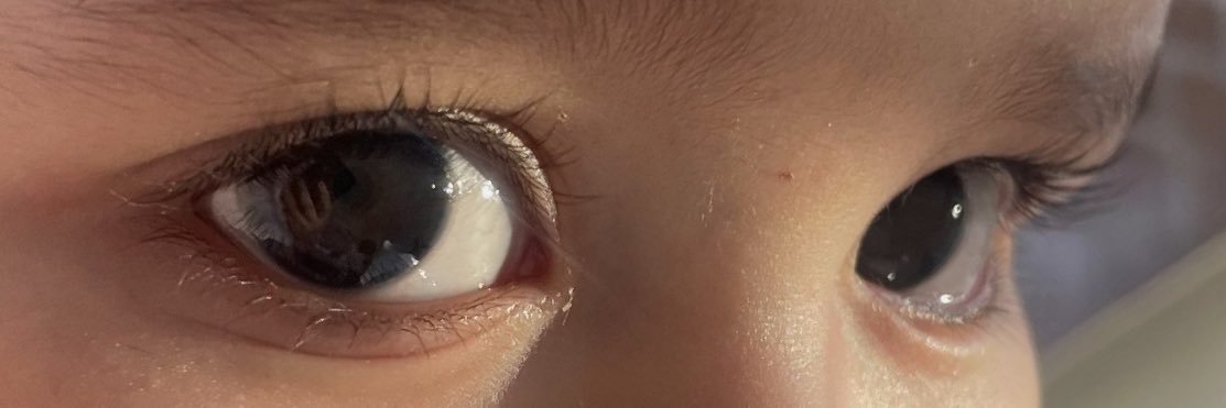 Lizbethsalazaar's profile banner image