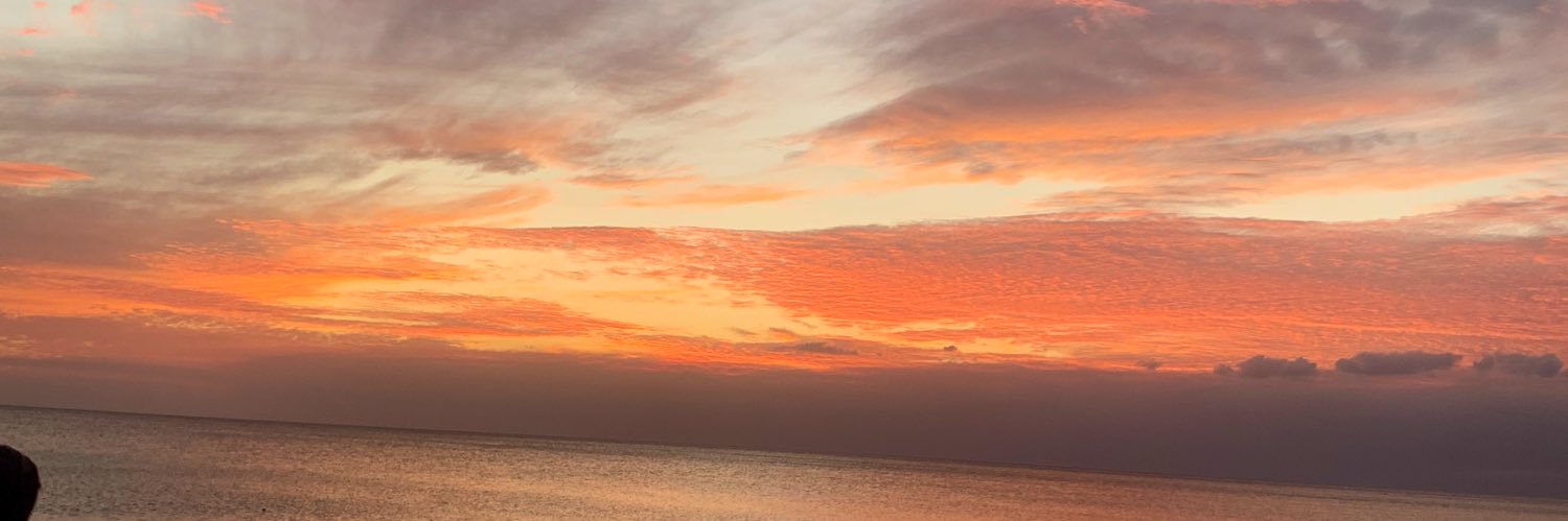 maddibeaubien's profile banner image