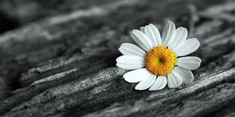 kptnhll's profile banner image