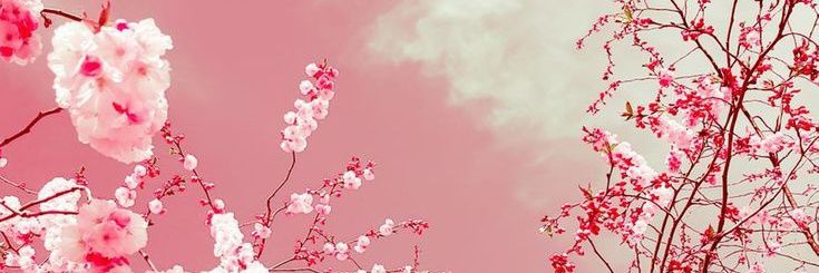 _kuraneko's profile banner image