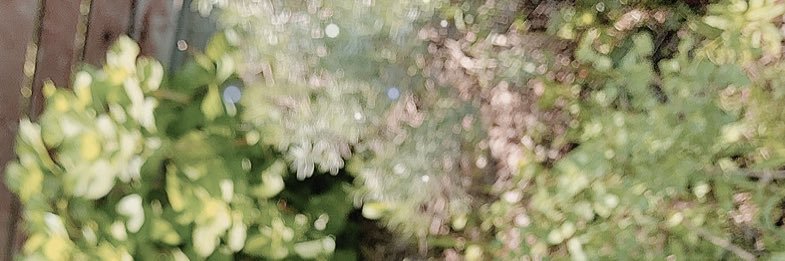 𝐑𝐚𝐦𝐬𝐭𝐞𝐥𝐥𝐚 ✦'s banner