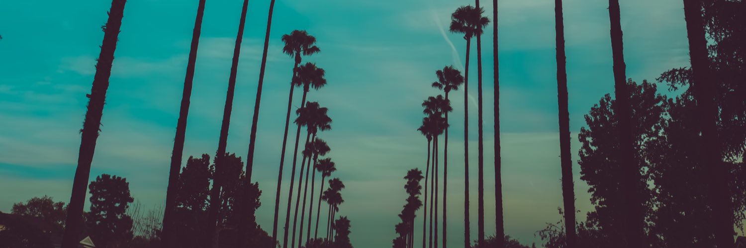 Mike Danenberg banner