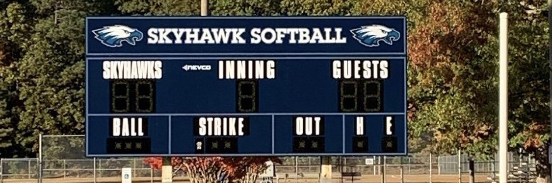 birdsoftball's profile banner image