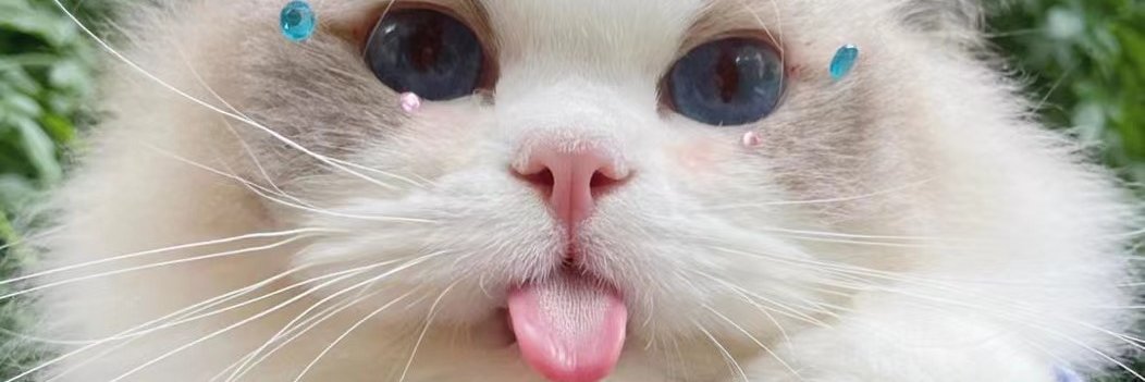 BettyTo30217175's profile banner image
