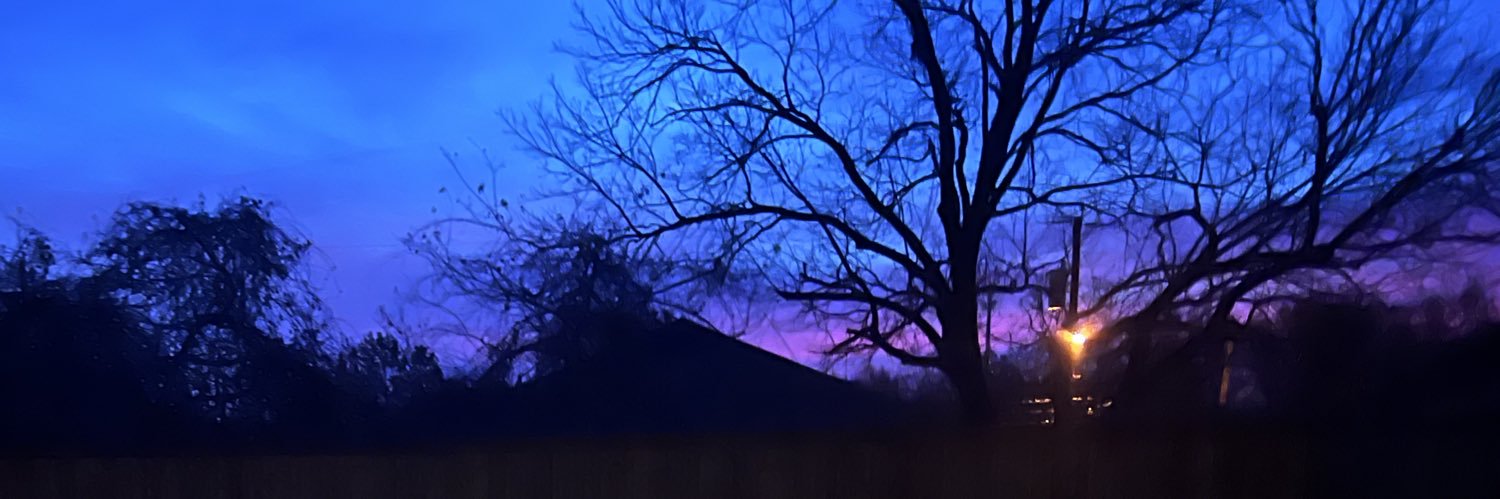 bongobayfusion's profile banner image