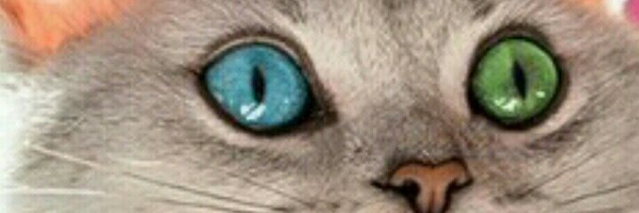 Upestrela's profile banner image