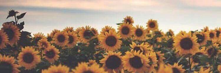 taymadee_'s profile banner image