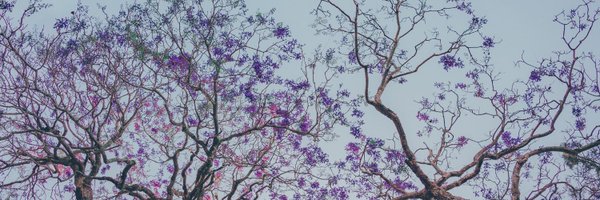 janet444 Profile Banner