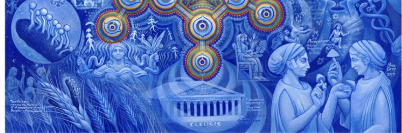 DigitalFreedom banner