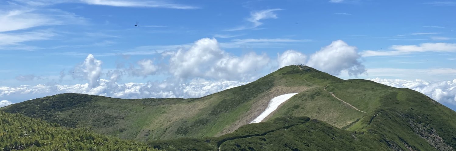 きのこのこ banner