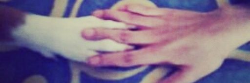 jozDM8's profile banner image