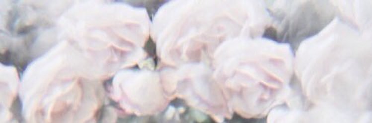 andreapulido26's profile banner image