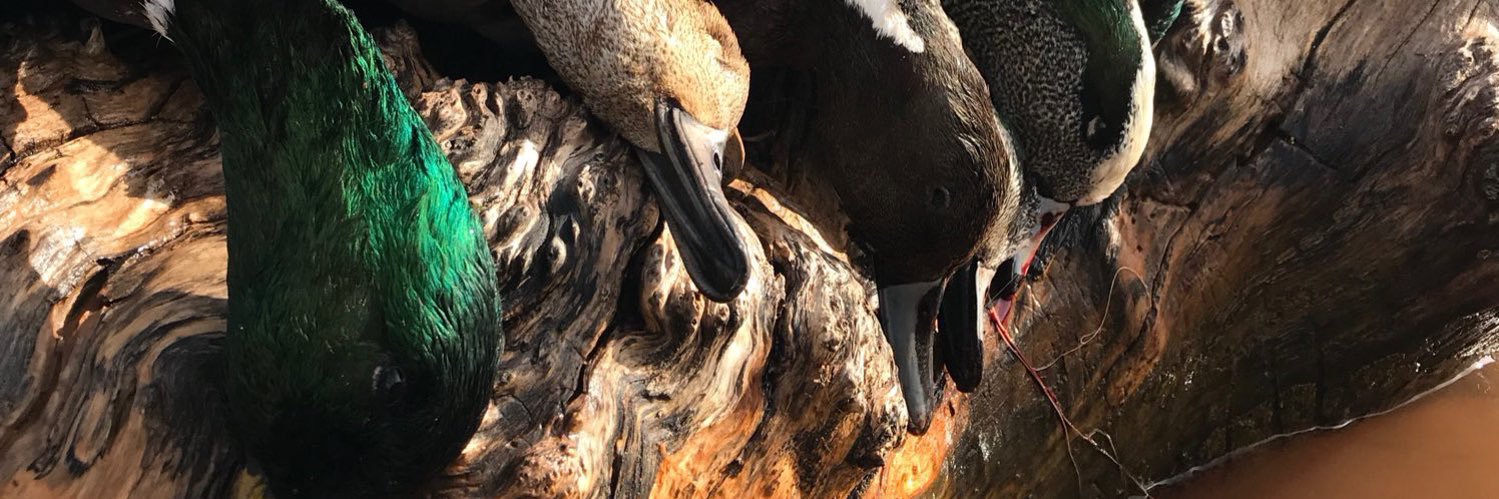 ColtonH_11's profile banner image