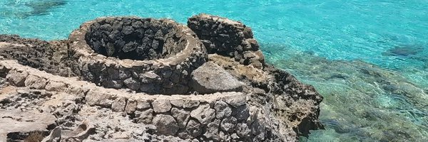 Lushes_curves2 Profile Banner