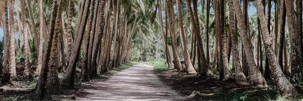 threegoodlanefj Profile Banner