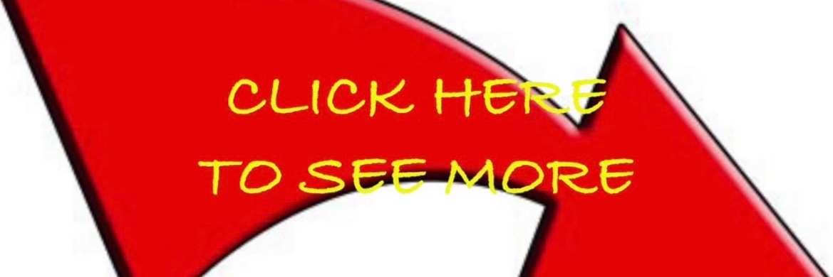 MorganRayXXX banner