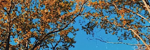 danixms_ Profile Banner