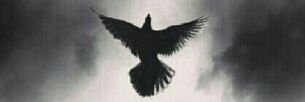 FALAHsaad1992's profile banner image