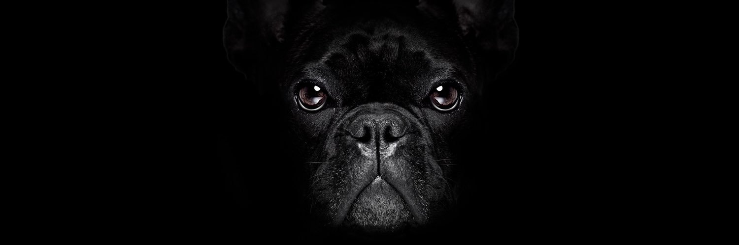 slizzytg's profile banner image