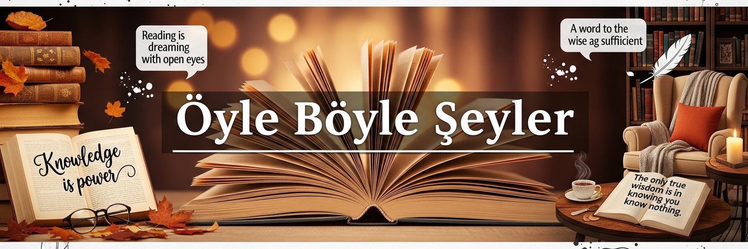 OyleBoyleSey's profile banner image
