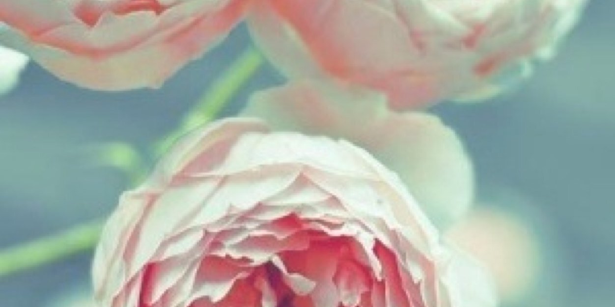 Veronicalopez93's profile banner image