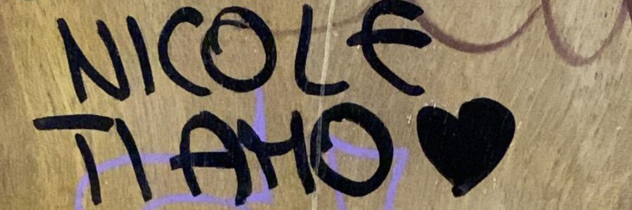 nonparliamone's profile banner image