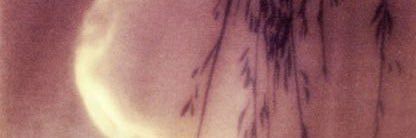 rev — semi ia banner