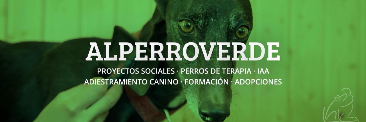 AlPerroVerde's profile banner image