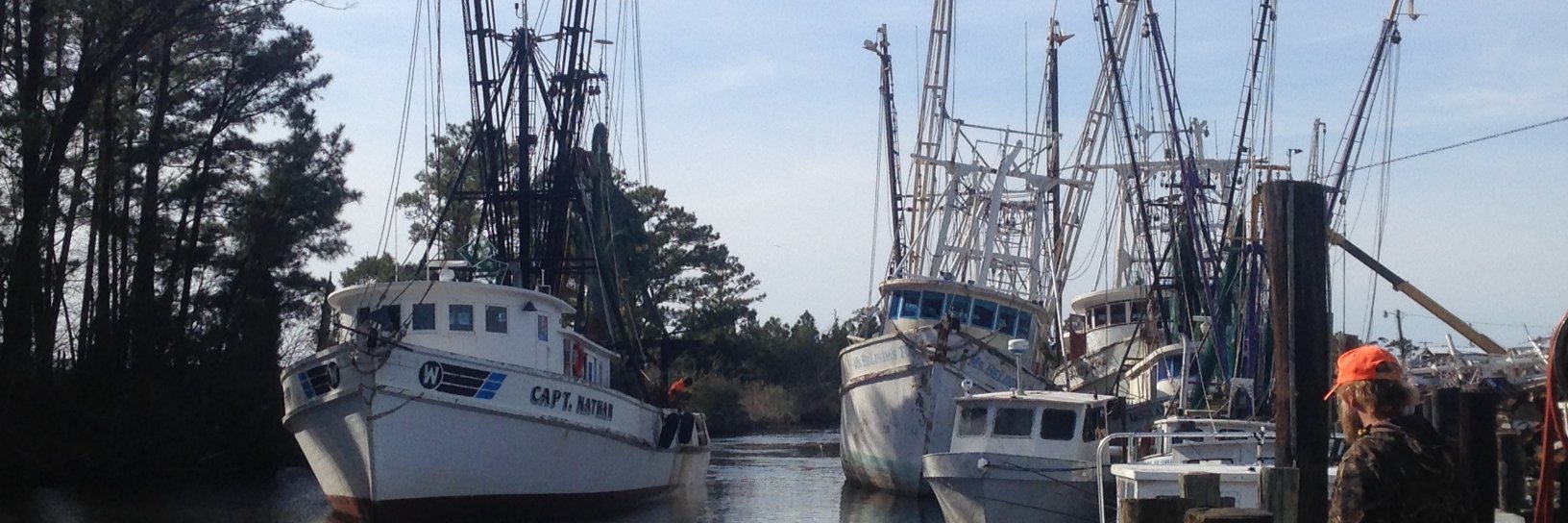 NCFreshCatch's profile banner image