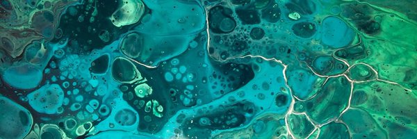 Robofishh Profile Banner