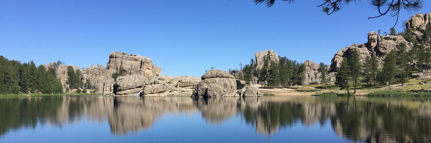 picoubrooke's profile banner image