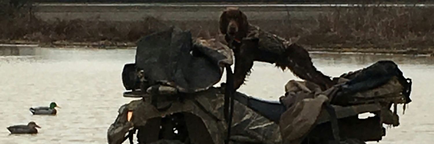 raygwilliams's profile banner image