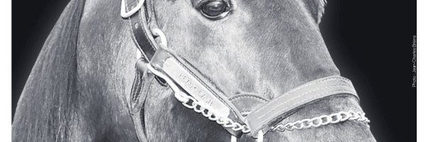 LEtrot🐎 Profile Banner